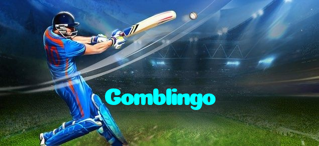 available types of Gomblingo bet including pre-match live express and system bets